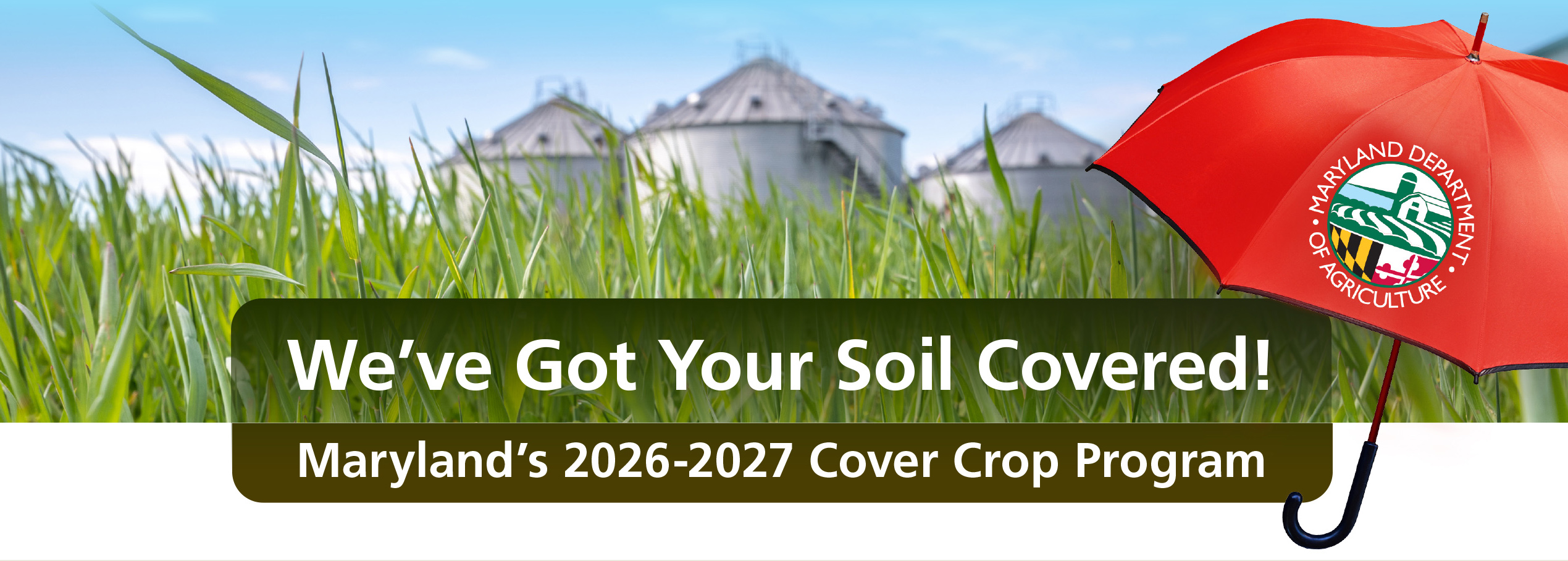 Silos behind a cover crop field with red umbrella and Message: We've Got Your Sil Covered!, MD's 2026-2027 Cover Crop Program