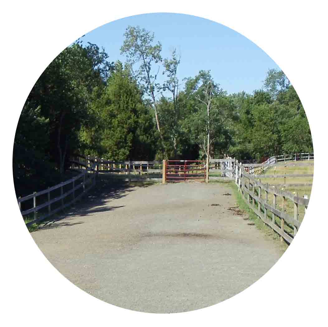 A heavy use pad on a horse farm